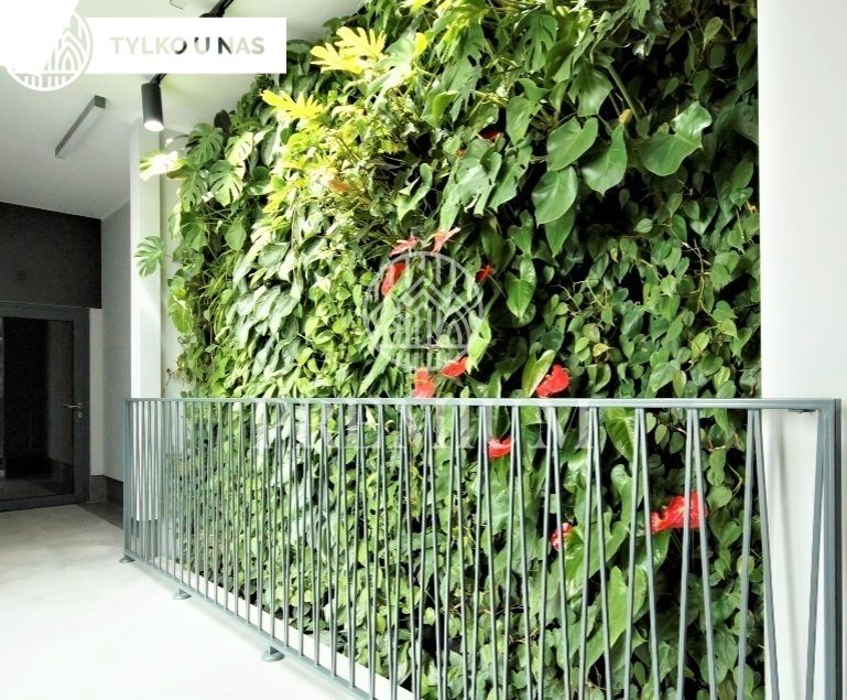 Mieszkanie 2-pokojowe Bydgoszcz, ul. Ignacego Paderewskiego. Zdjęcie 11