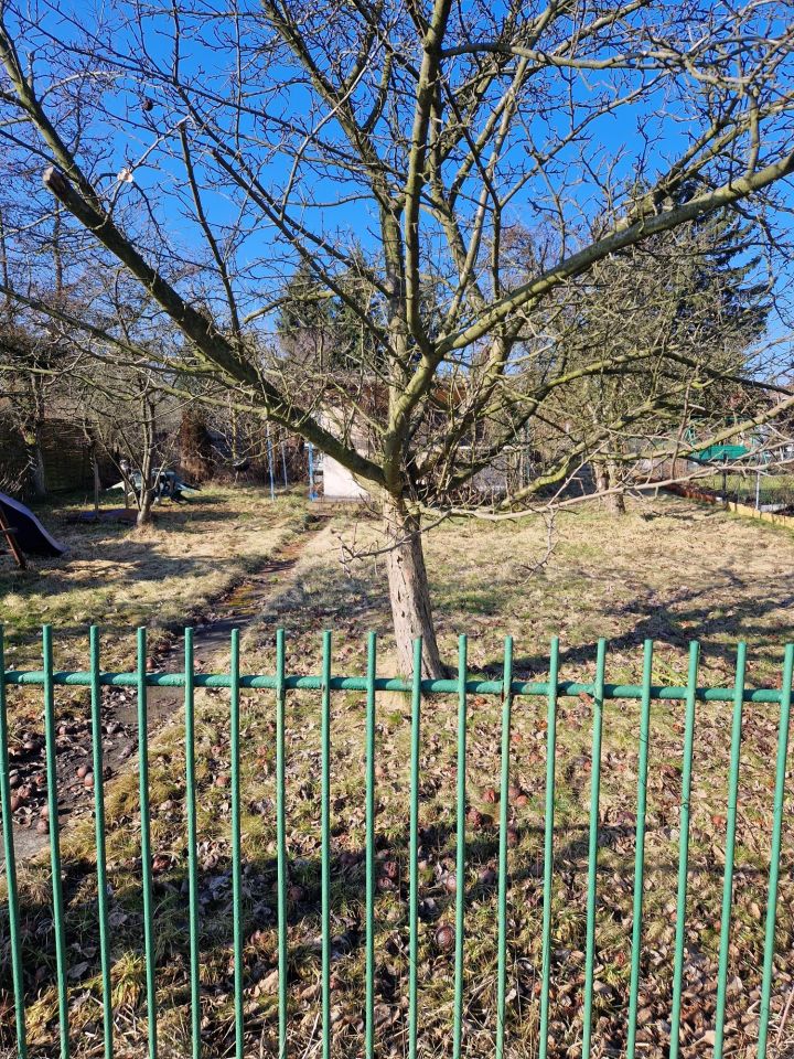 Działka rod Bytom. Zdjęcie 2