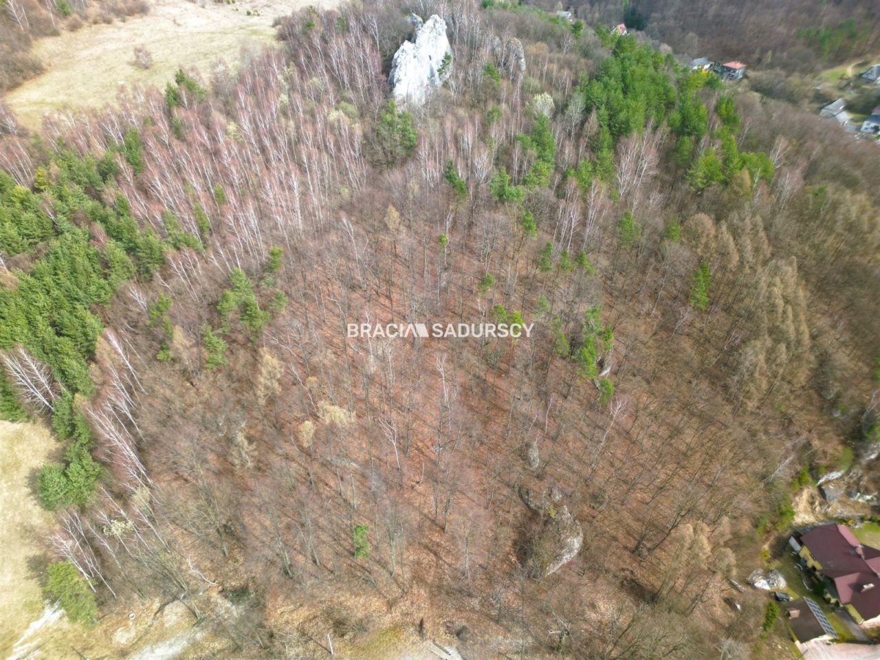 Działka leśna Jerzmanowice, ul. Zachodnia. Zdjęcie 8