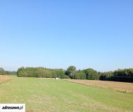 Działka budowlana Nowe Koziminy. Zdjęcie 4