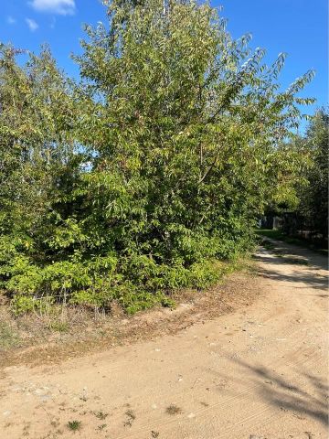 Działka rekreacyjna Wyrzyki. Zdjęcie 1