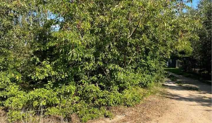 Działka rekreacyjna Wyrzyki