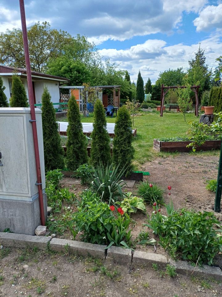 Działka rod Chodzież. Zdjęcie 5