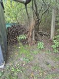 Działka rod Warszawa Wawer, ul. Wał Miedzeszyński. Zdjęcie 3