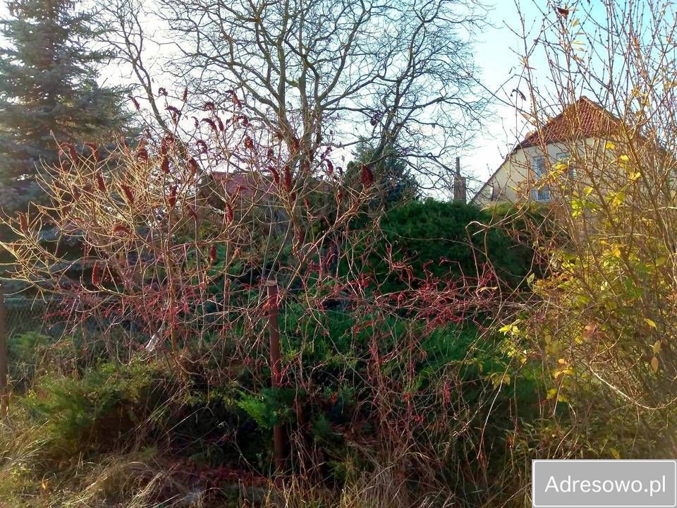 Działka siedliskowa Boleszkowice. Zdjęcie 2