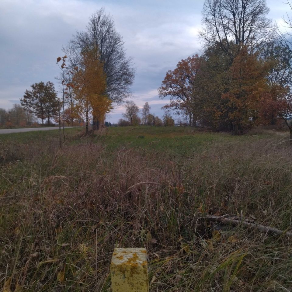 Działka rolna Mazuchówka. Zdjęcie 2