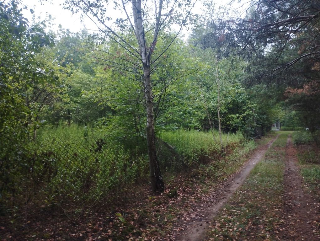 Działka budowlana Mieszkowo. Zdjęcie 9