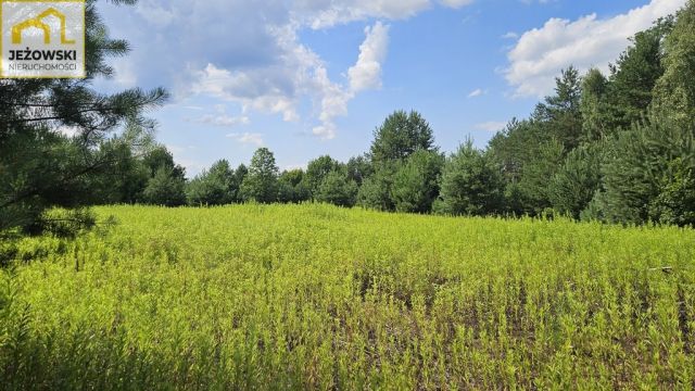 Działka budowlana Kolonia Góra Puławska. Zdjęcie 5