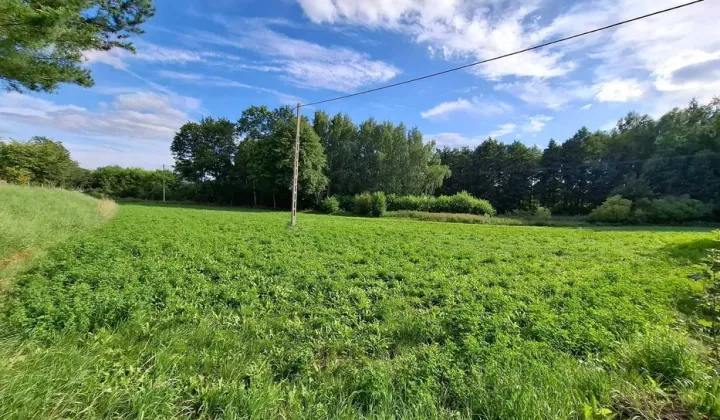 Działka budowlana Montowo