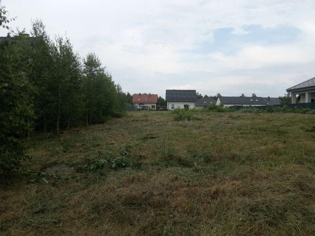 Działka budowlana Pęgów, ul. Kalinowa