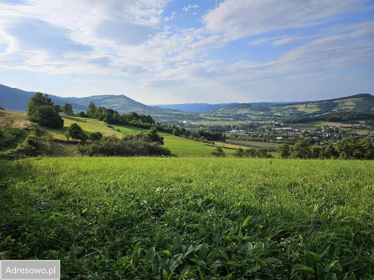 Działka rolno-budowlana Białawoda. Zdjęcie 4