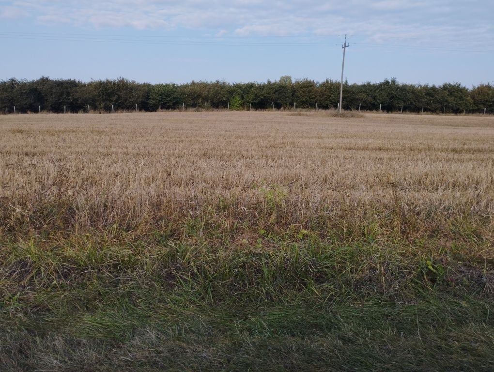 Działka rolno-budowlana Gotówka. Zdjęcie 8