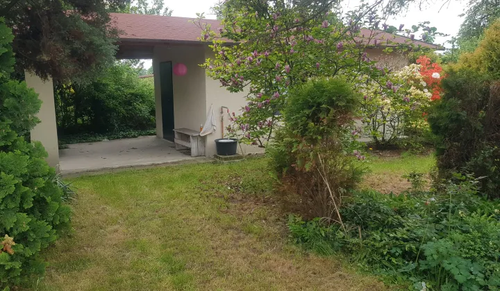 Działka rod Zabrze Biskupice, ul. Ogrodowa