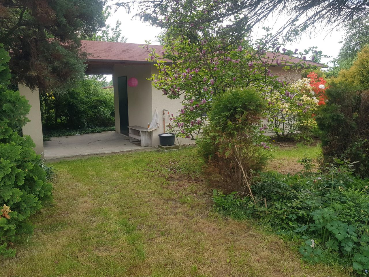 Działka rod Zabrze Biskupice, ul. Ogrodowa