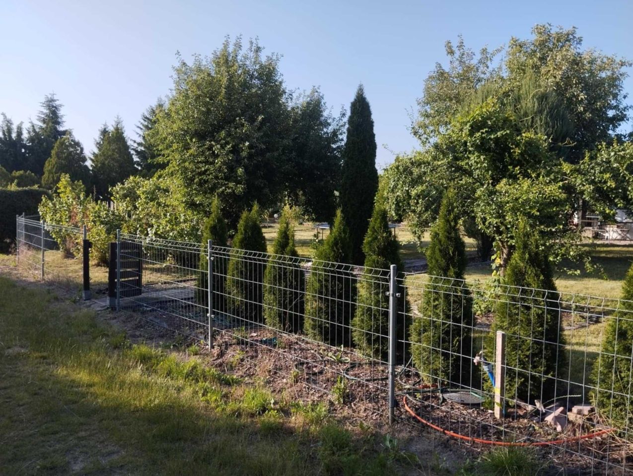 Działka rod Śrem. Zdjęcie 2