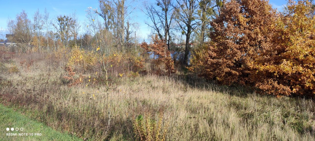 Działka budowlana Lipiany, ul. Małcz. Zdjęcie 3