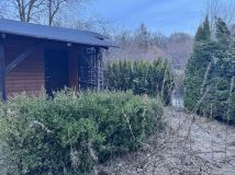 Działka rod Gdańsk Owczarnia. Zdjęcie 1