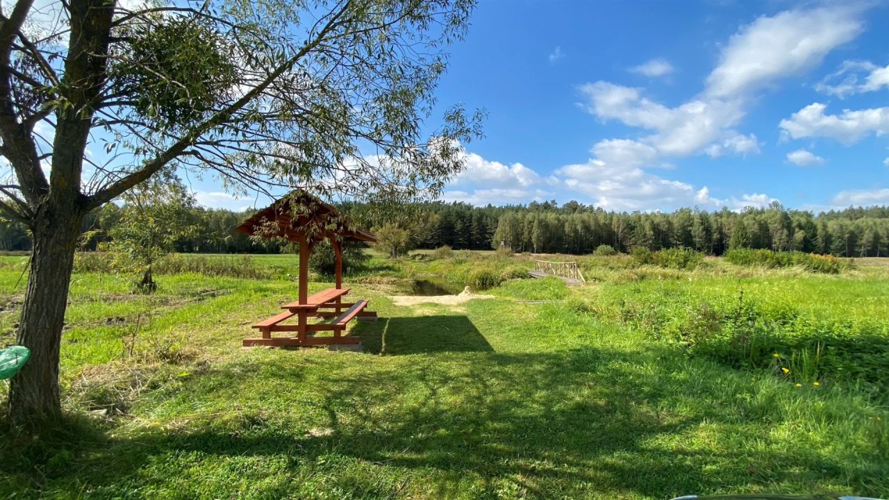 Działka rolna Kołodno. Zdjęcie 4