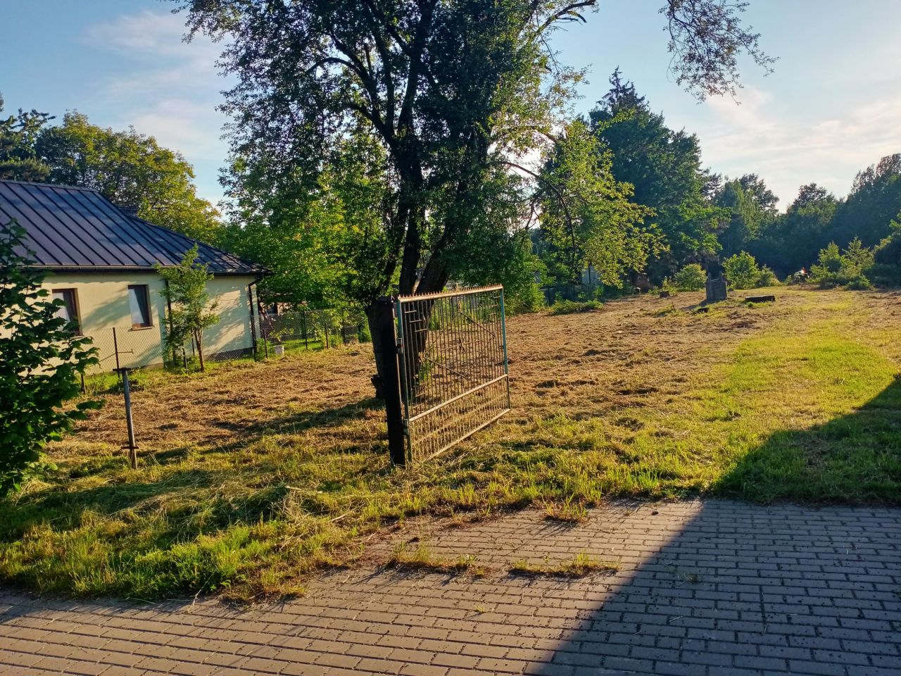 Działka rolno-budowlana Bereza. Zdjęcie 14