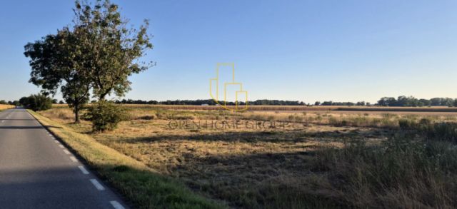 Działka budowlana Szukalice. Zdjęcie 4