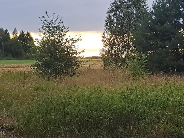 Działka budowlana Polinów. Zdjęcie 1