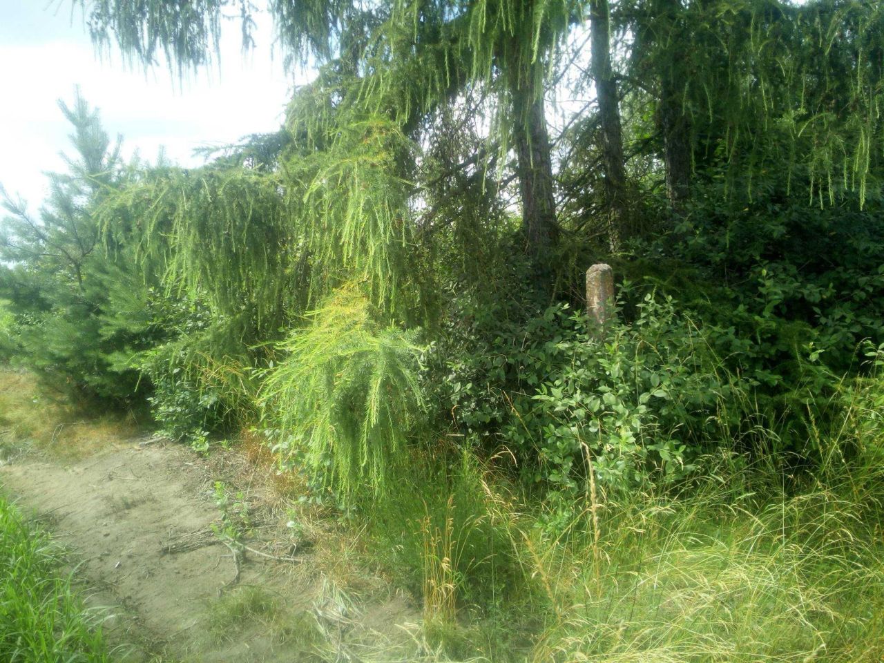 dom wolnostojący Ćmielów. Zdjęcie 7