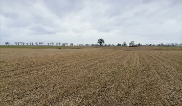 Działka rolno-budowlana Bierzgłowo