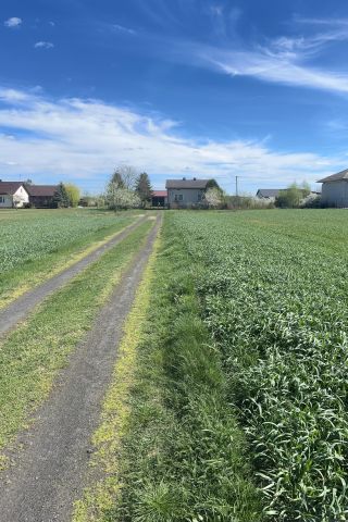 Działka rolno-budowlana Ignaców. Zdjęcie 1