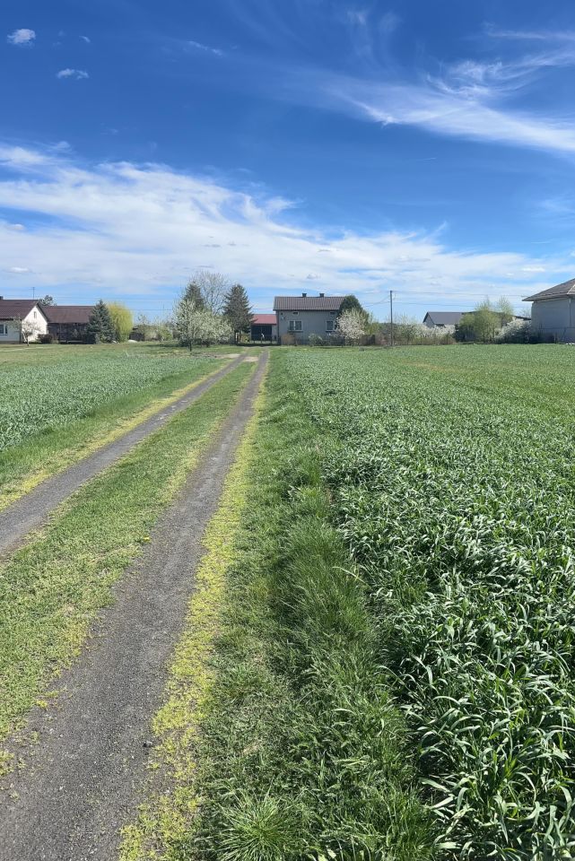 Działka rolno-budowlana Ignaców