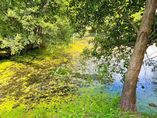 Działka budowlana Boguszków. Zdjęcie 24