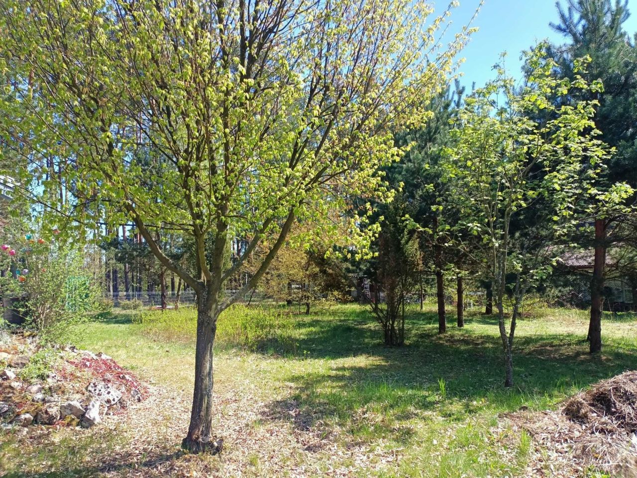 Działka budowlana Kamińsko. Zdjęcie 3