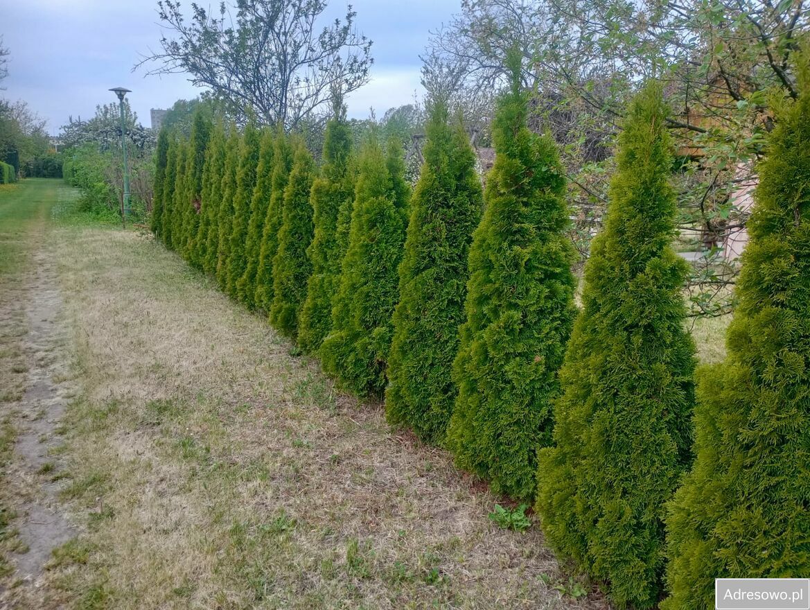 Działka rod Rzeszów, ul. Ciepłownicza. Zdjęcie 3