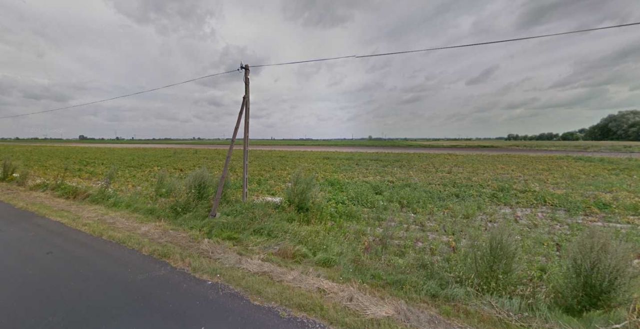 Działka rolno-budowlana Rochaliki. Zdjęcie 3