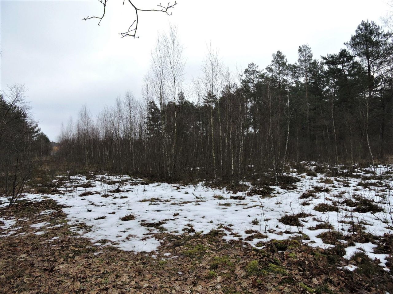 Działka rolna Budziska, ul. Ptasia. Zdjęcie 7