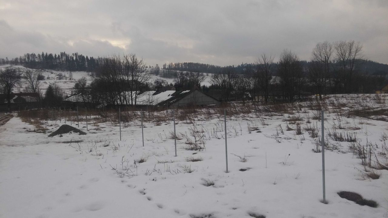 Działka budowlana Wolibórz. Zdjęcie 5