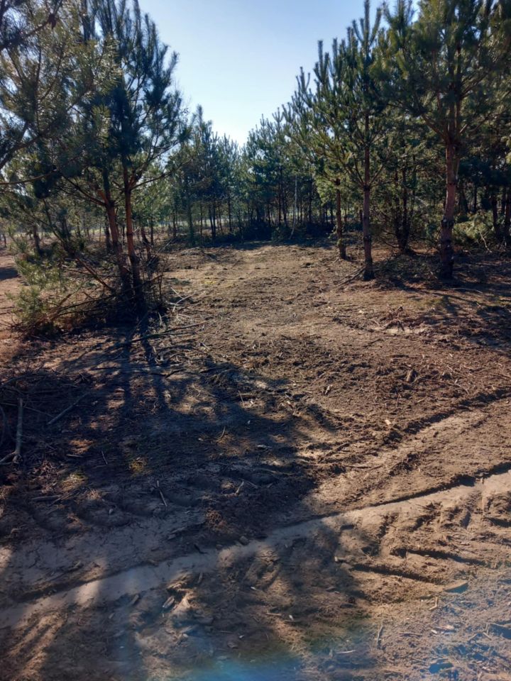 Działka rolno-budowlana Gucin. Zdjęcie 18