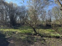 Działka rod Gliwice Śródmieście. Zdjęcie 3