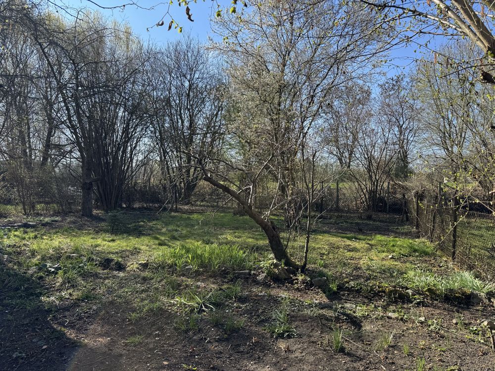 Działka rod Gliwice Śródmieście. Zdjęcie 4