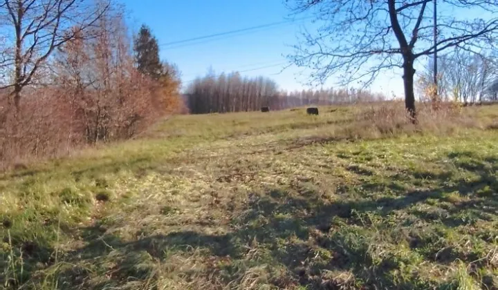 Działka budowlana Sielnica