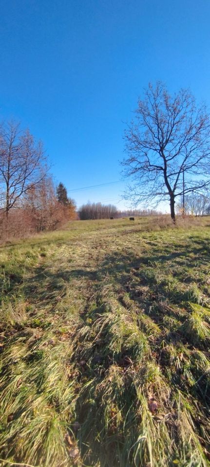 Działka budowlana Sielnica. Zdjęcie 1