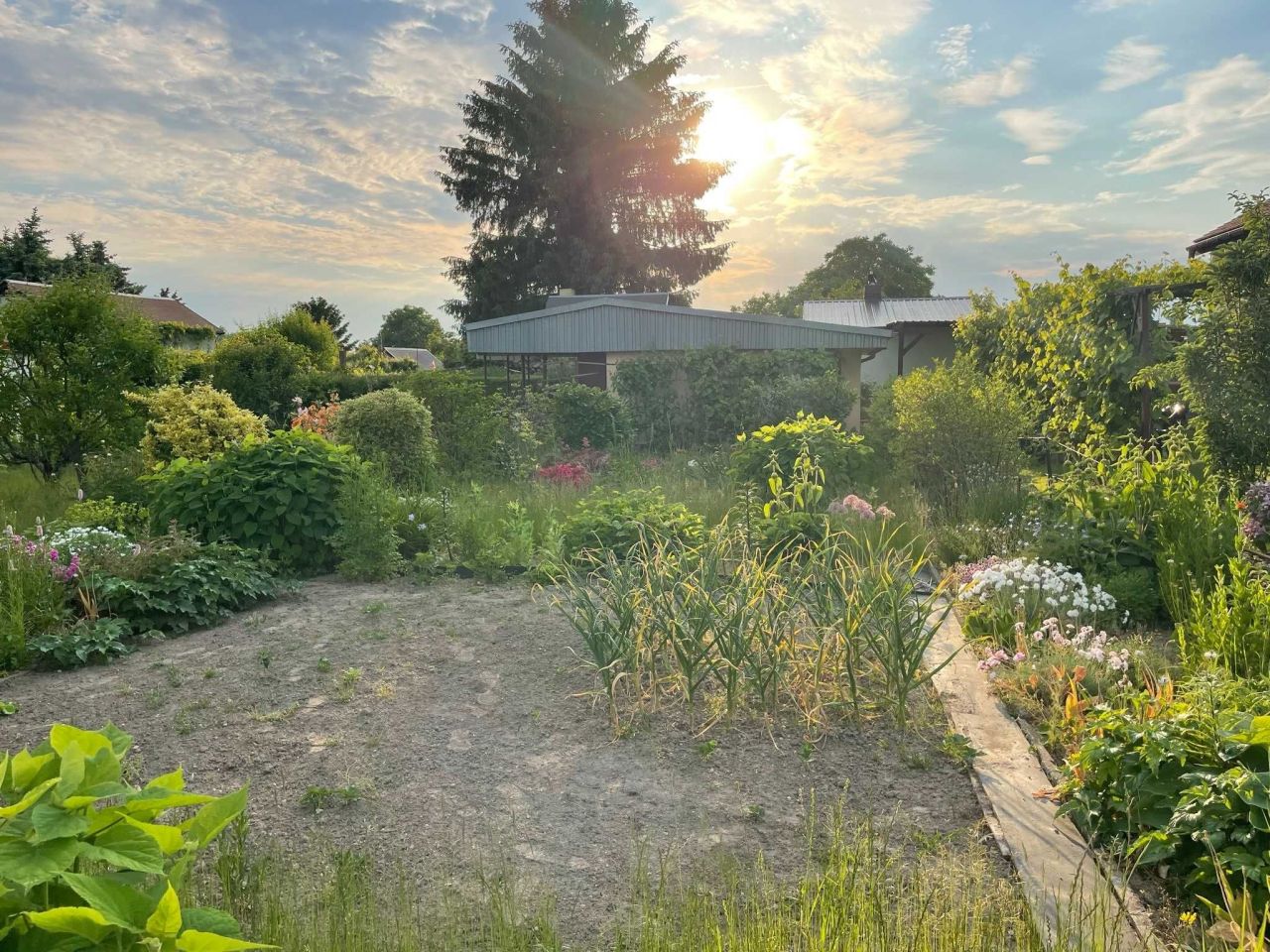 Działka rod Grzybiany. Zdjęcie 5