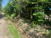 dom wolnostojący Zbigniewice. Zdjęcie 1