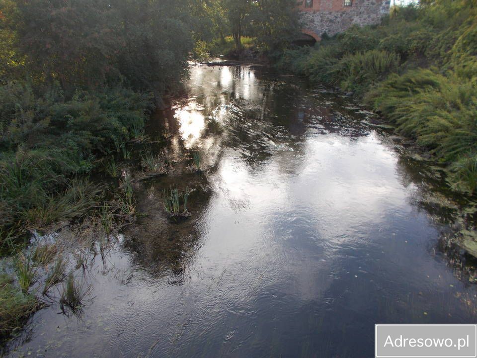 Działka siedliskowa Sapałówka. Zdjęcie 11