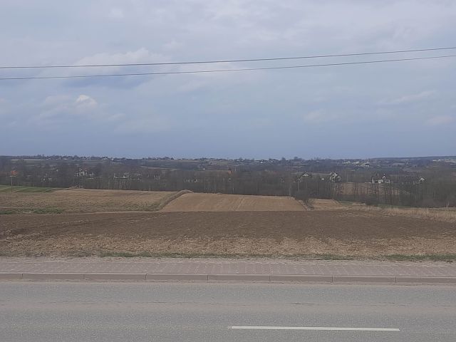 Działka rolno-budowlana Wieloborowice. Zdjęcie 1