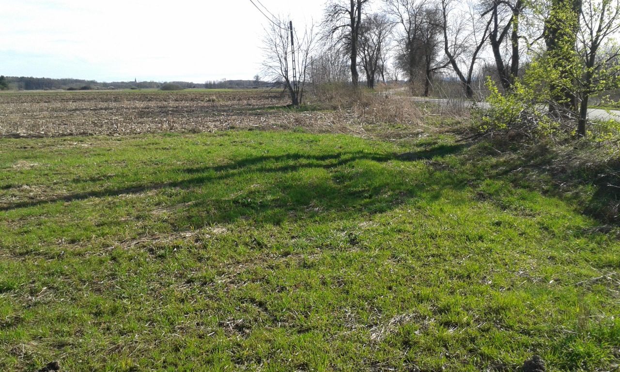 Działka inwestycyjna Wola Przemykowska. Zdjęcie 5