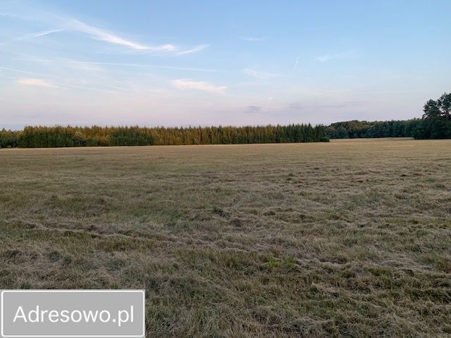 Działka rolna Rzystnowo. Zdjęcie 9