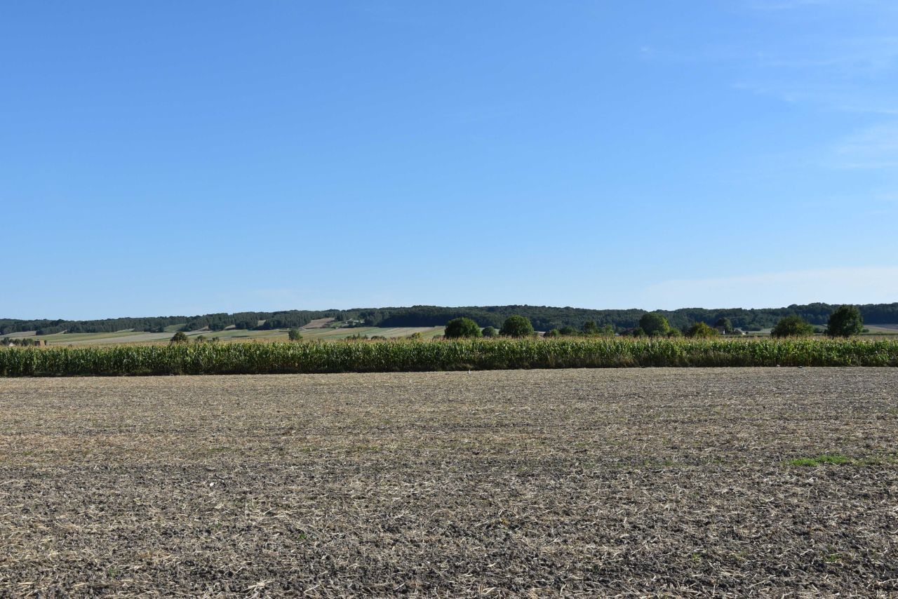 Działka budowlana Wierzbie. Zdjęcie 5