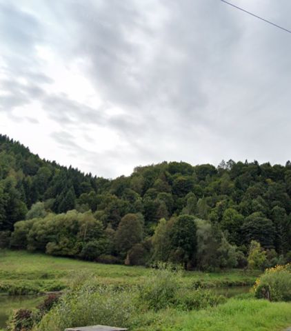 Działka leśna Muszyna Podzielne, al. Zdrojowa. Zdjęcie 1