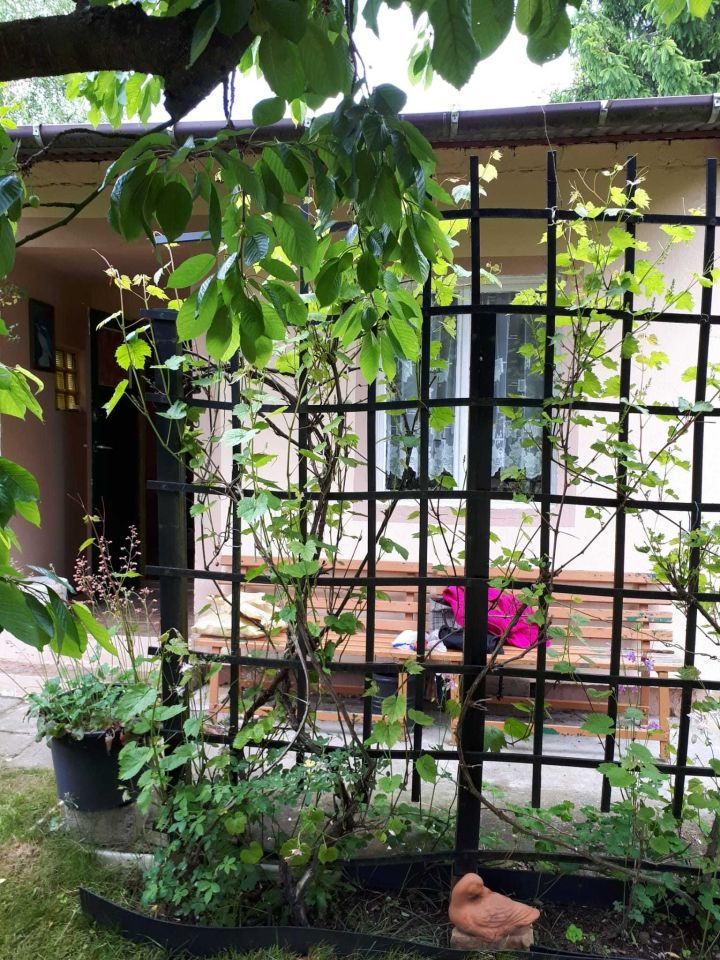 Działka rod Lubin. Zdjęcie 2