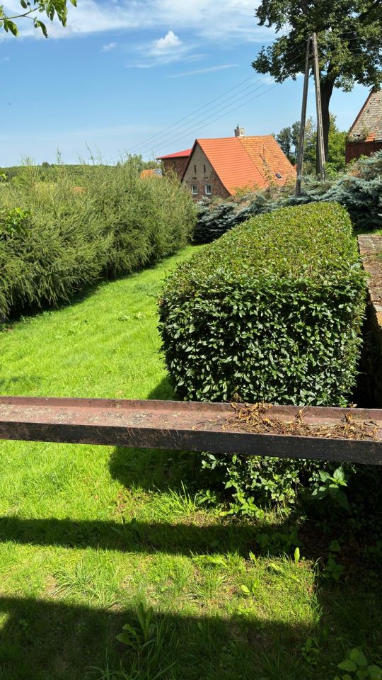 dom wolnostojący, 6 pokoi Niedźwiedzica. Zdjęcie 16